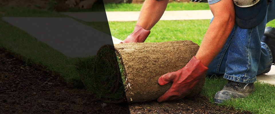 Sherborn Landscapers